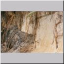 Grabwespen Habitat-Steilhang 01a.jpg